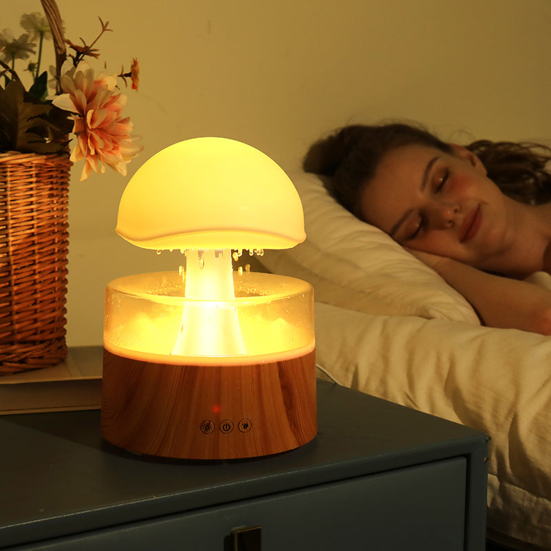 Transform Your Space with the Rain Cloud Ultrasonic Aromatherapy Humidifier & Air Diffuser