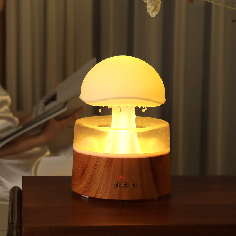 Transform Your Space with the Rain Cloud Ultrasonic Aromatherapy Humidifier & Air Diffuser